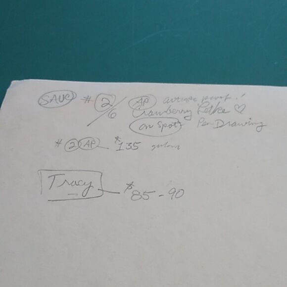 Paul Anthony Lee "Windy Cranberry Lake" Landscape Art Print Artist Proof 1984 - Picture 10 of 10